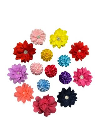 Passe-colliers variés 1202504