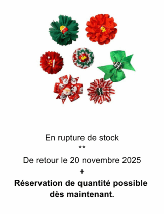 Passe-colliers de Noël #202513