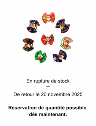 Boucles de Noël #202511