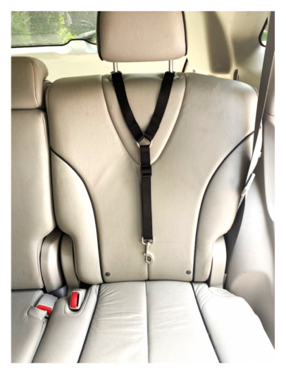 Courrois auto #607 – Image 2