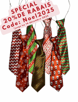 Cravates 9po Noël #202510