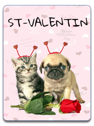 Articles de la St-Valentin