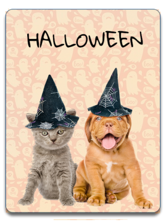 Articles d'Halloween